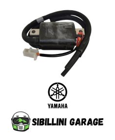 36Y823106000 Bobina Sx Originale Yamaha per Moto FJ1100 FJ1200 Cilindri 1-4 NOS