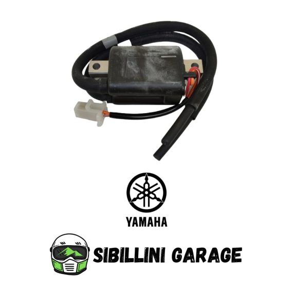 36Y823106000 Bobina Sx Originale Yamaha per Moto FJ1100 FJ1200 Cilindri 1-4 NOS